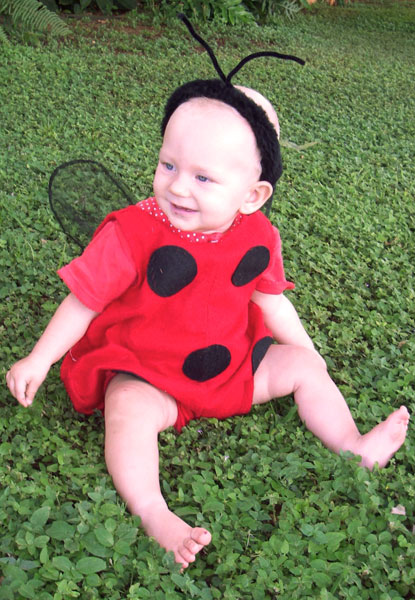 11m-ladybug-meadow.jpg