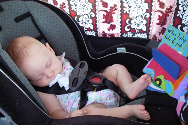 nap-with-spitwipe