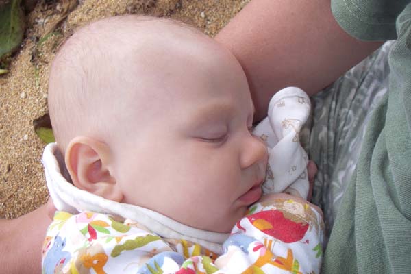 Larsen Snooze