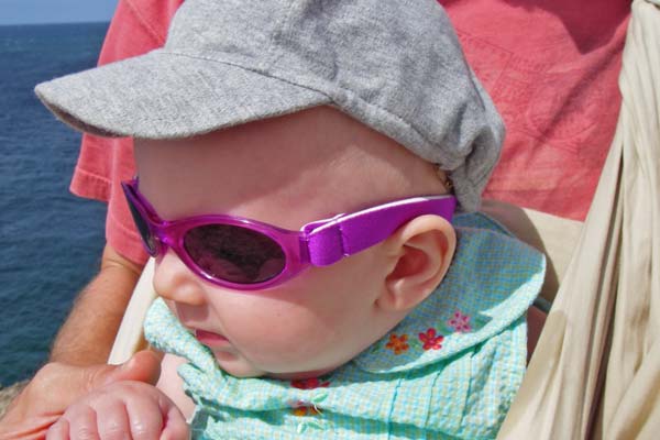 shades