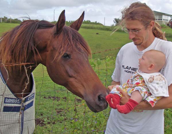 horse