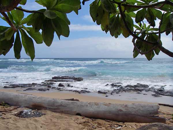 Picnic at the Wailua Beach