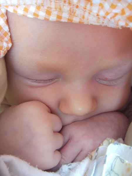 Leilani, 5 weeks old, portrait