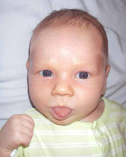 Leilani, 5 weeks old, showing tounge