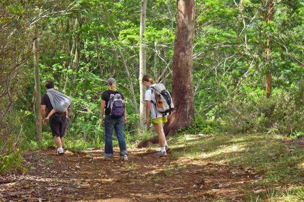 6m-family-hike.jpg