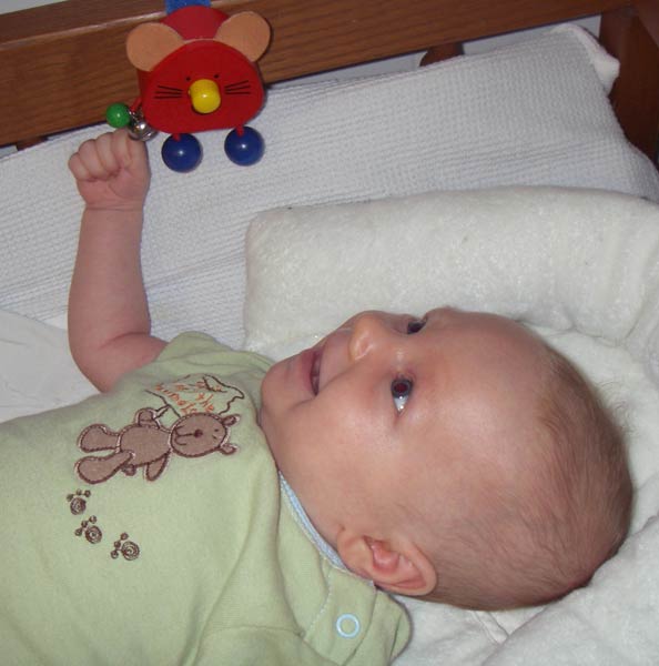 Leilani, 6 weeks old, playing with Mr Mouse