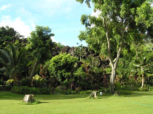Landscape