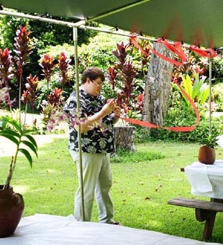 David decorating