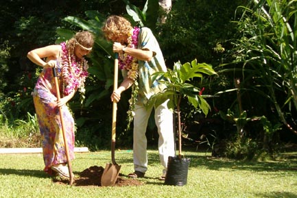 136_Digging.jpg