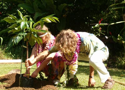 137_De-Potting.jpg