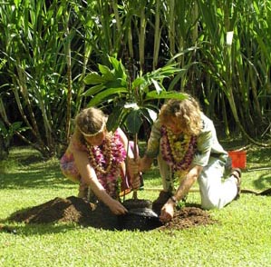 138_Planting_Ulu_Breadfruit_Tree.jpg