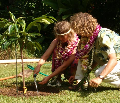 145_Watering_Tree.jpg