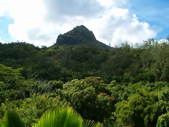 147_Kalalea_joyful_sun_mountain.jpg